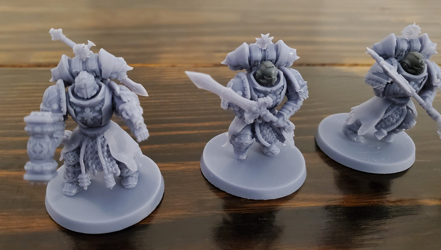 Templar Paladins (5-Unit Set) by Atlan Forge