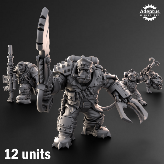 Kill Squad- Da Snikkas (12-Unit Kit or Single Model) by Adeptus Miniatures