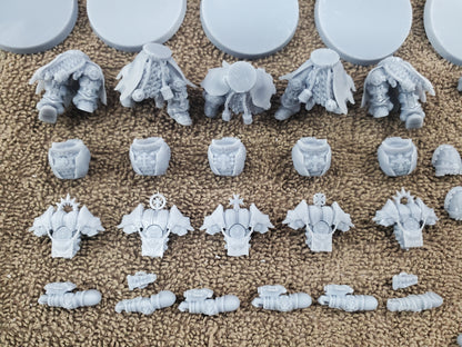 Templar Paladins (5-Unit Set) by Atlan Forge