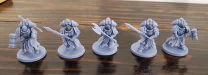 Dark gray helms/style are NOT included with this kit. 