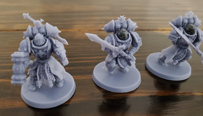Templar Paladins (5-Unit Set) by Atlan Forge