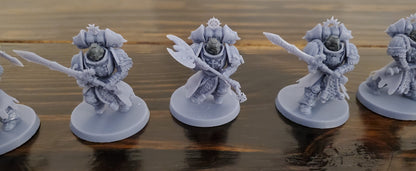Templar Paladins (5-Unit Set) by Atlan Forge