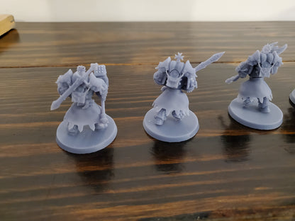 Templar Paladins (5-Unit Set) by Atlan Forge