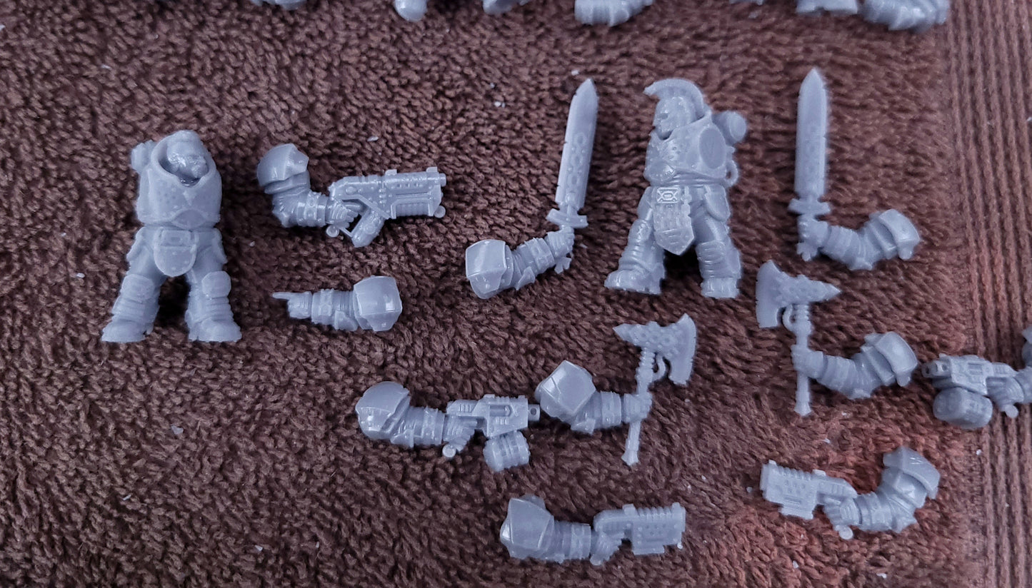 Steelwarden- Dwarves (5-Unit Kit or Single Model) by Adeptus Miniatures