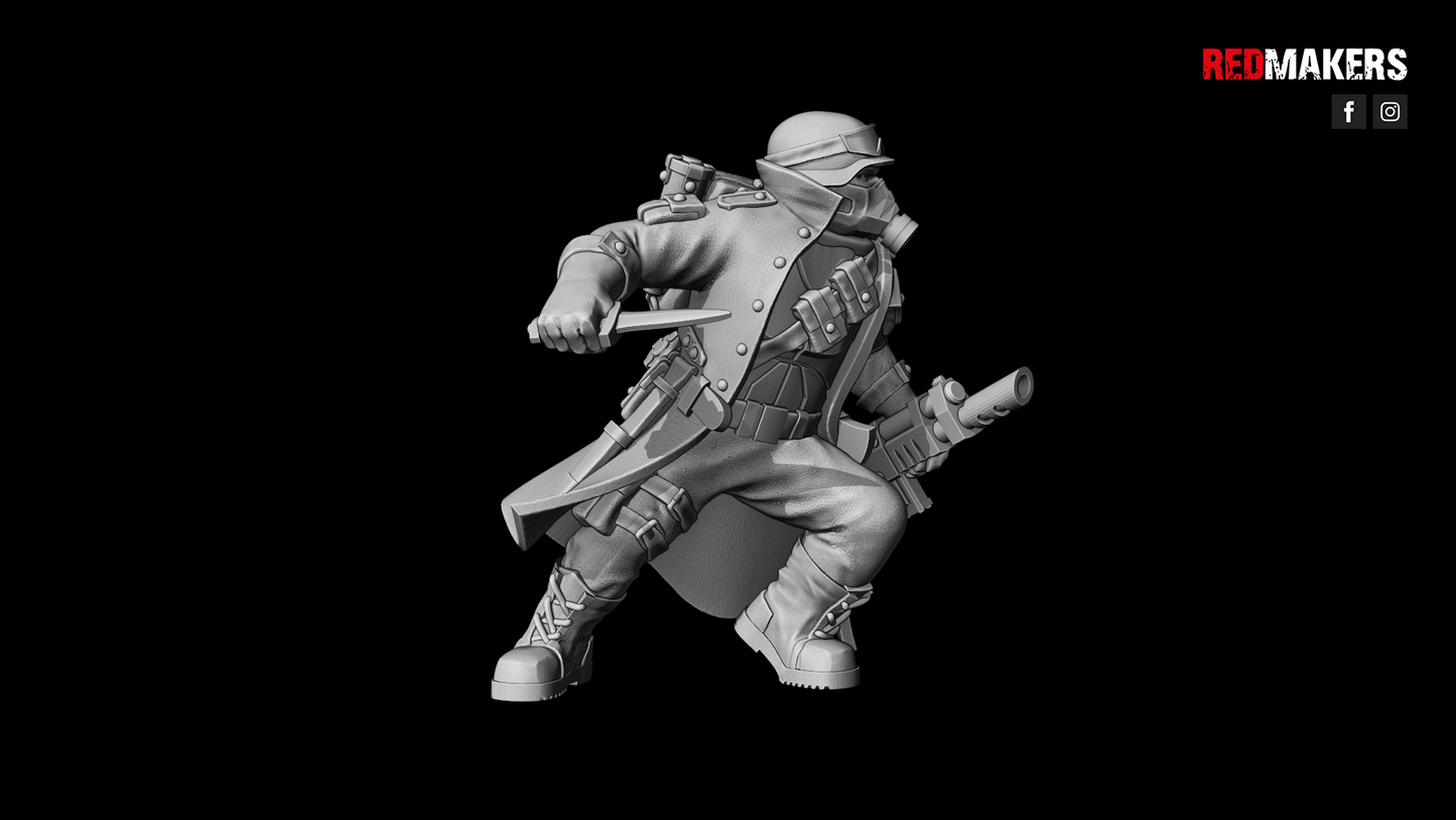 Steel Guard-Squad of the Imperial Force (10-Unit Kit or Single Model) by RedMakers