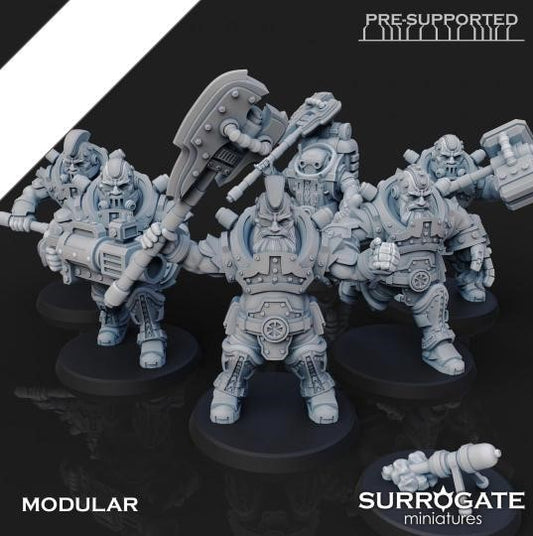 Zoltan Alliance Sons of Berserkia (5-Unit Set) by Surrogate Miniatures