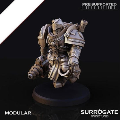 Silver Paladins Destructor Squad (5-Unit Set) by Surrogate Miniatures