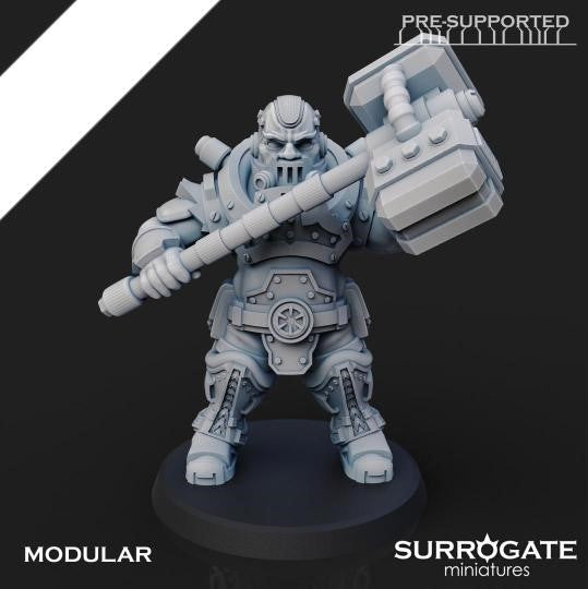 Zoltan Alliance Sons of Berserkia (5-Unit Set) by Surrogate Miniatures