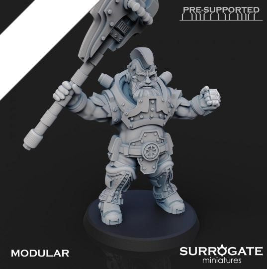 Zoltan Alliance Sons of Berserkia (5-Unit Set) by Surrogate Miniatures