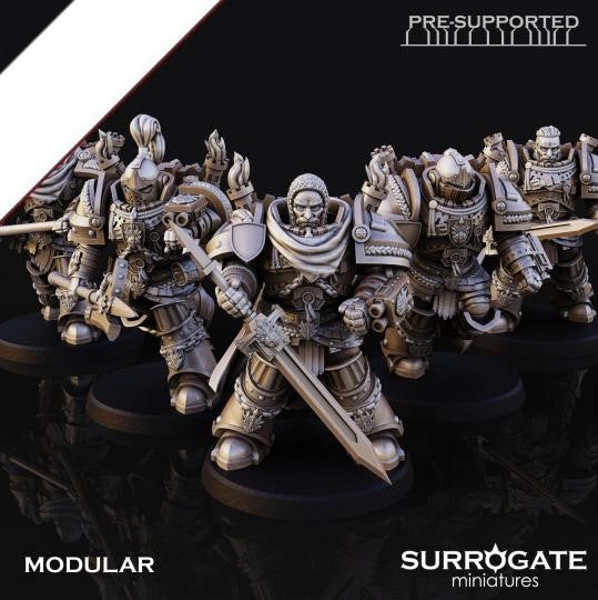 Silver Paladins Assault Squad (10-Unit Set) by Surrogate Miniatures