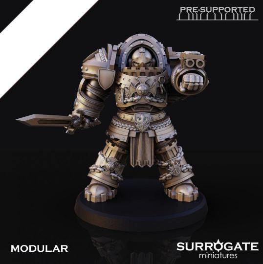 Silver Paladins Knights Enforcers (5-Unit Set) by Surrogate Miniatures