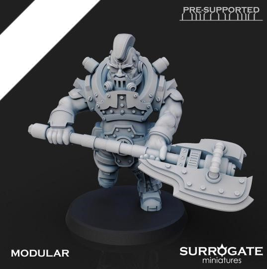 Zoltan Alliance Sons of Berserkia (5-Unit Set) by Surrogate Miniatures