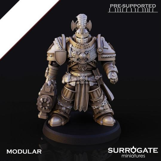 Silver Paladins Destructor Squad (5-Unit Set) by Surrogate Miniatures