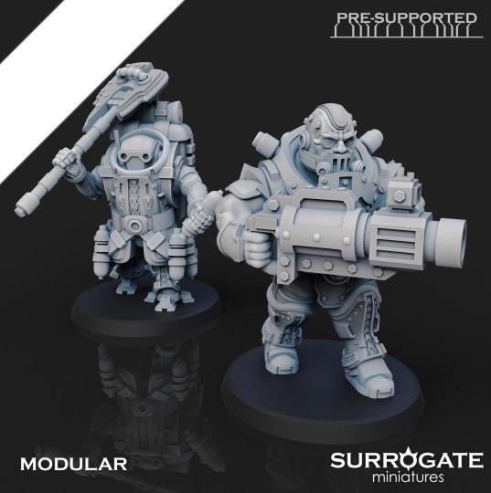 Zoltan Alliance Sons of Berserkia (5-Unit Set) by Surrogate Miniatures