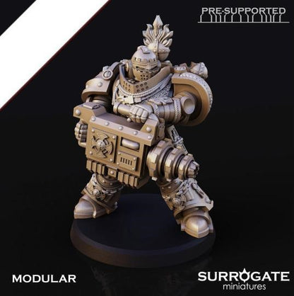 Silver Paladins Destructor Squad (5-Unit Set) by Surrogate Miniatures