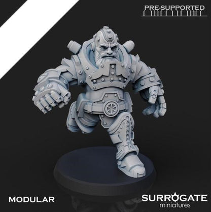 Zoltan Alliance Sons of Berserkia (5-Unit Set) by Surrogate Miniatures