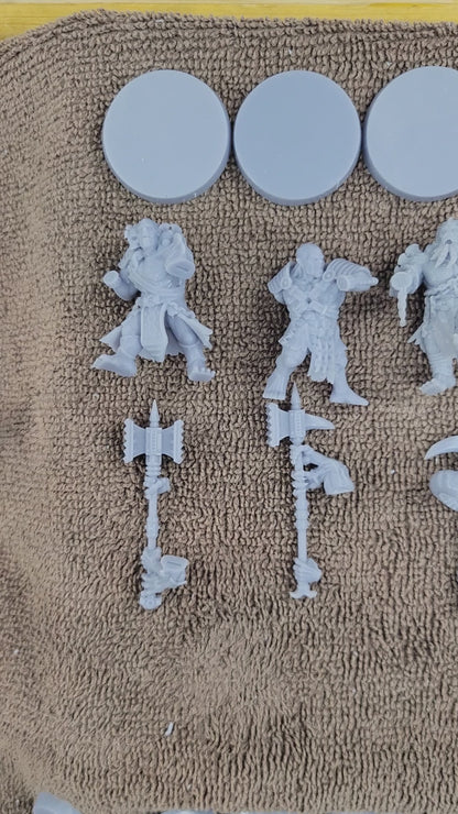 Ruinspawn- The Hiveborne (5-Unit Kit or Single Model) by Adeptus Miniatures