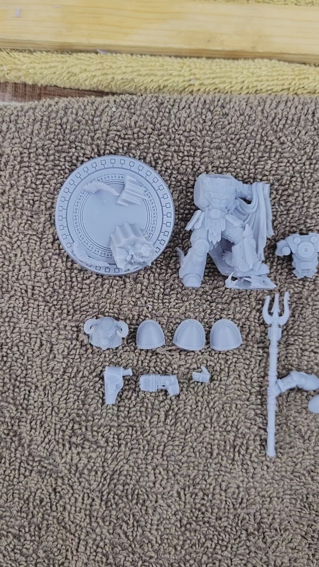 Solid Body w/ Medusa Version