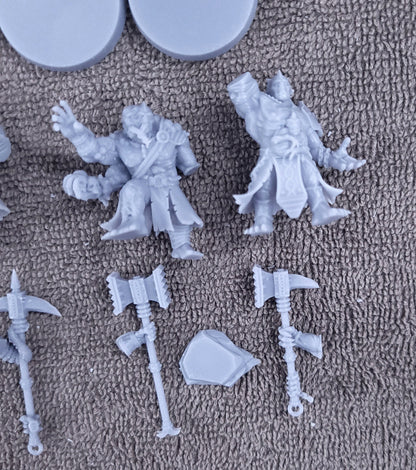 Ruinspawn- The Hiveborne (5-Unit Kit or Single Model) by Adeptus Miniatures