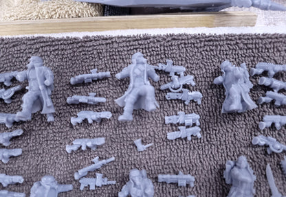 Steel Guard-Squad of the Imperial Force (10-Unit Kit or Single Model) by RedMakers
