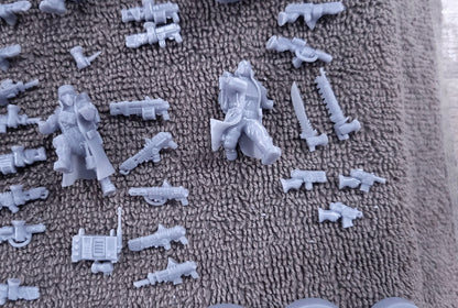 Steel Guard-Squad of the Imperial Force (10-Unit Kit or Single Model) by RedMakers