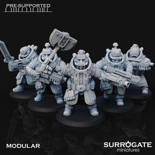 Zoltan Alliance Spec Ops Warriors (5-Unit Set) by Surrogate Miniatures