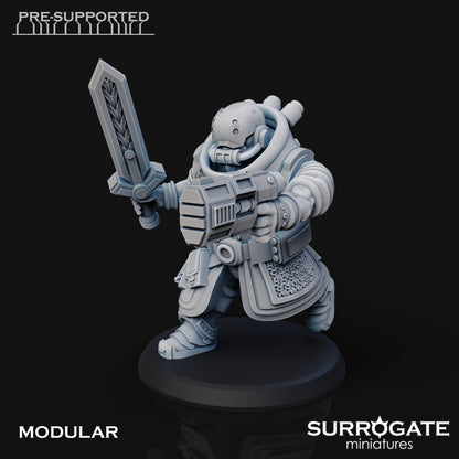 Zoltan Alliance Spec Ops Warriors (5-Unit Set) by Surrogate Miniatures